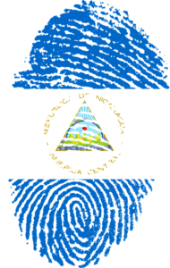 New and Improved CRA Digital Services for Tax Practitioners